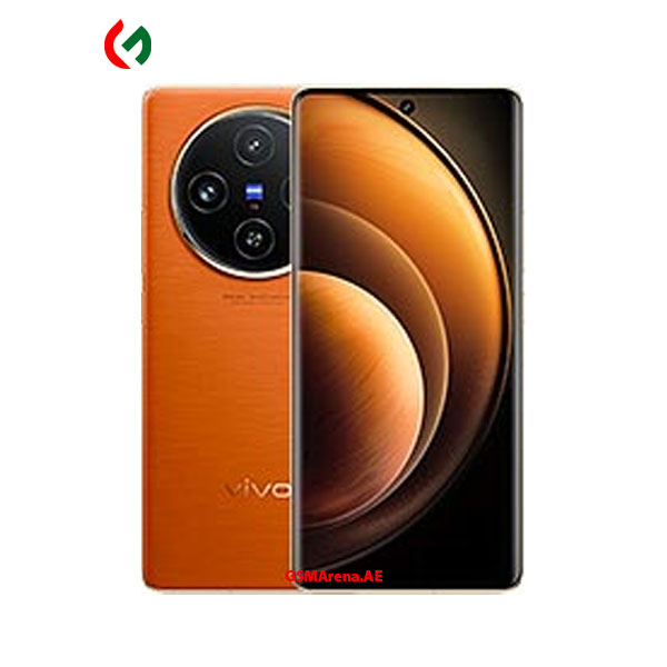 Vivo X100